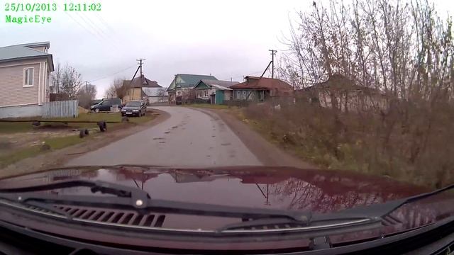 Видео с Пузиком