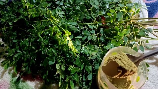 Get Flat Belly/Stomach In 7Days - No Diet/No Exercise - 100%Natural Moringa Green Detox Diet Drink