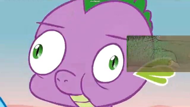 Avast your SHED (with bgm)