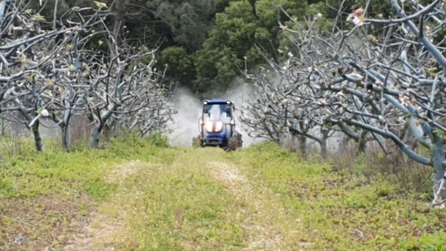 Solis 75n crdi com atomizador tomix Palmeta 400l