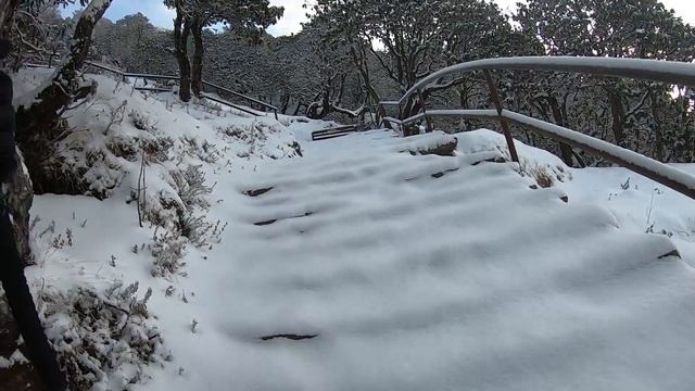 white ladder #snow walk climbing up 3800 meter height.