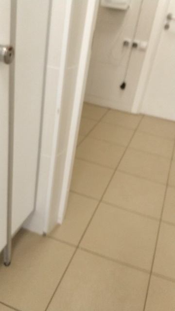 туалет для короля