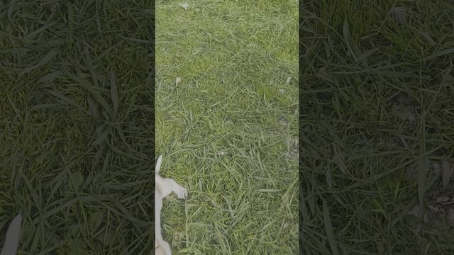 1000117566.mp4