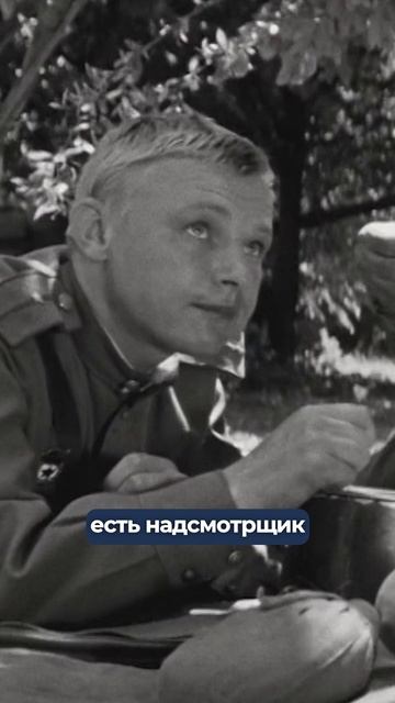 Ссылки на полную версию видео (на рутуб и альтернативном плеере) тут: https://t.me/ss_lifehack/1053