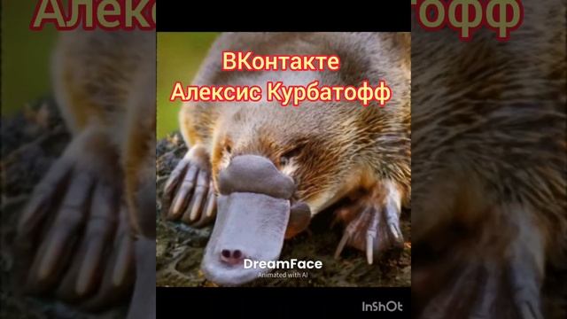 УТКОНОС ОБРАЩАЕТСЯ К ЗРИТЕЛЯМ!)))