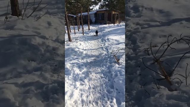 Огневушка