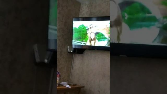 Лимон миллион