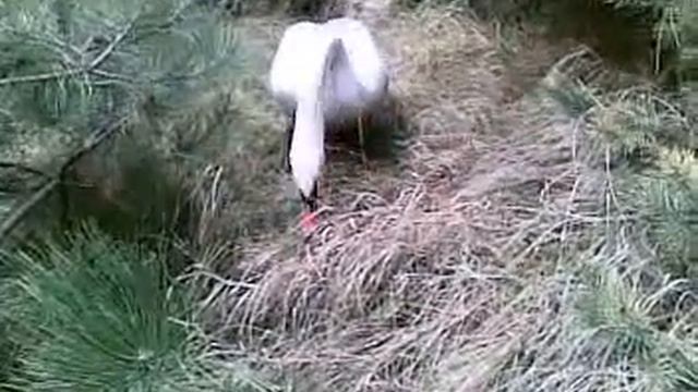 26122010(002).mp4