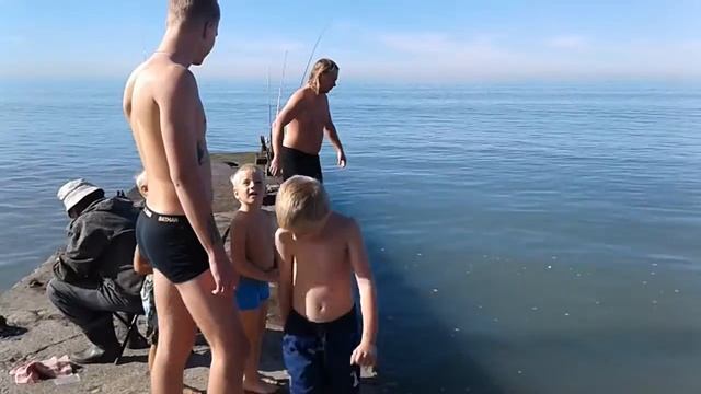 7 ноября 2018(52)