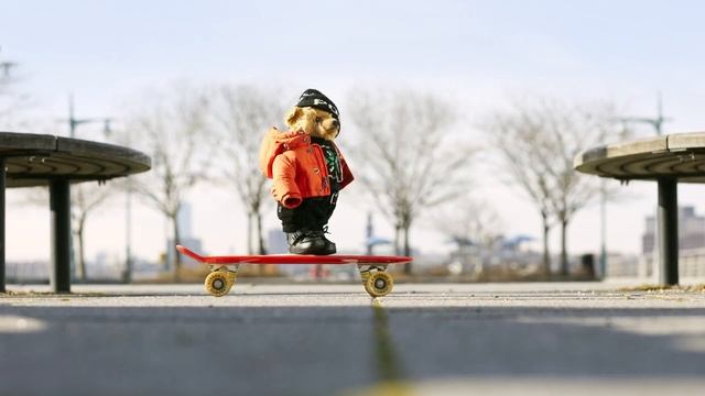 RALPH LAUREN | THE POLO BEAR WORKOUT