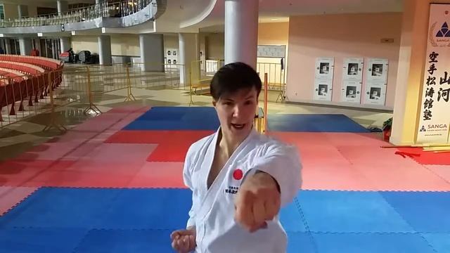 Hikite (resistance band)