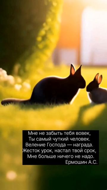 Памяти любви