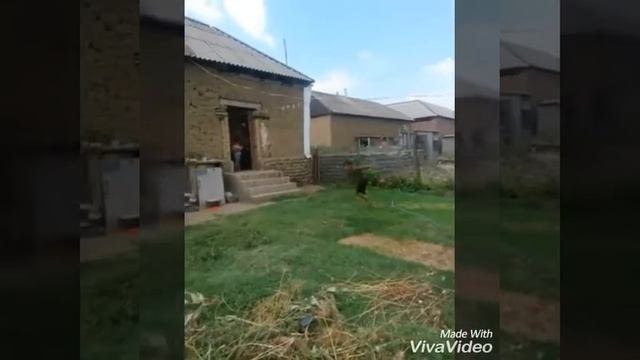 Хамавюртовский паркур идрисов мансур
