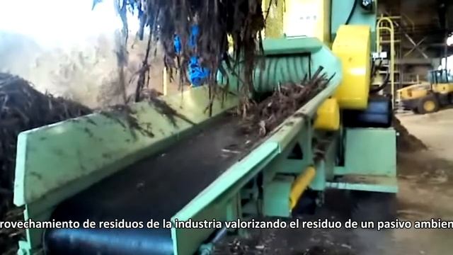 Chipeadora de Madera PTML 240 320 x 600 chipeando corteza de eucalipto