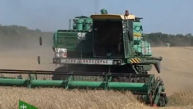 На полях района продолжается уборка ранних зерновых культур. 03.08.2018