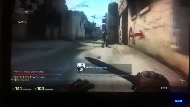 Крысы cs-go
