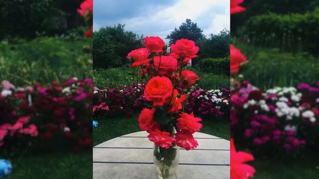 Коротко, ну очень коротко о прошедшем лете.
