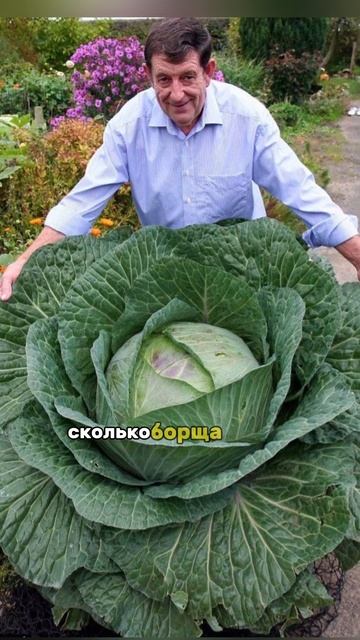 Огромные ФРУКТЫ и ОВОЩИ !!!