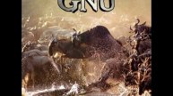 GNU - Paranoia