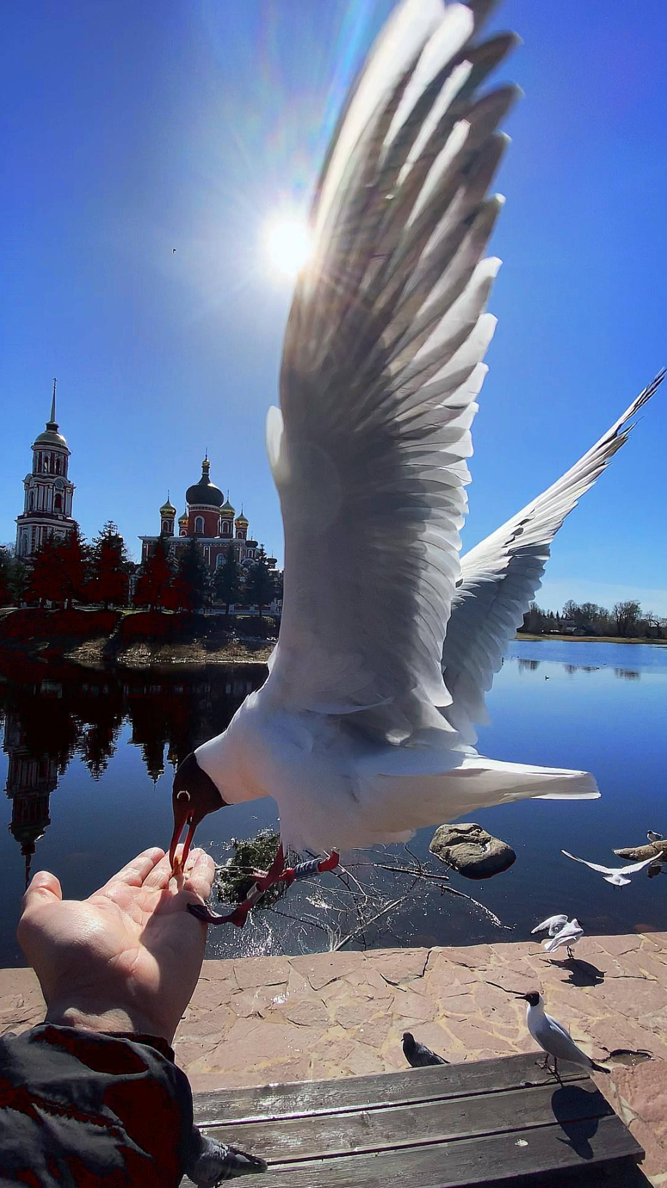 Джонатан, это ты?