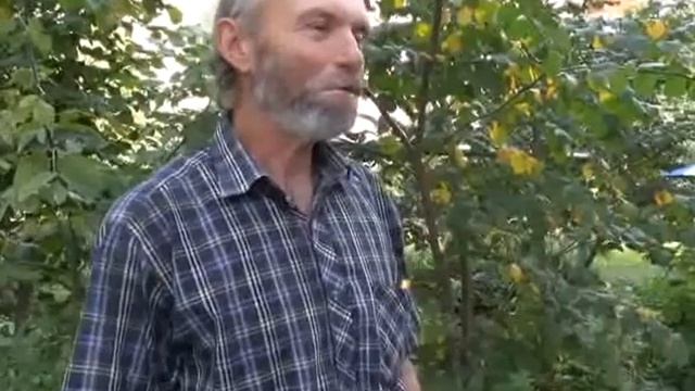 Успешное путешествие Виктора Атласова