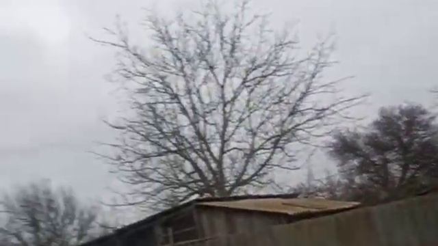 Дела житейские///Творчество///