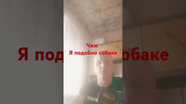 чиж и ко я подобно собаке