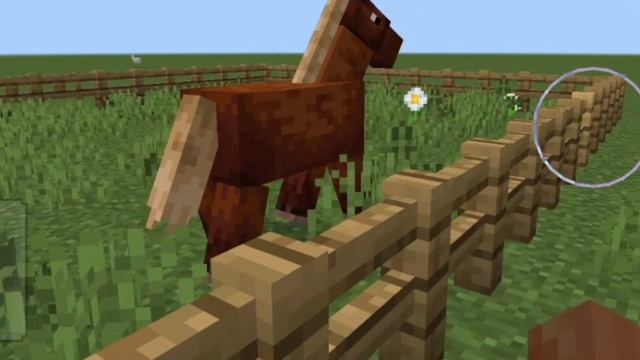🍃Обзор нашего кск по ближе 🐎