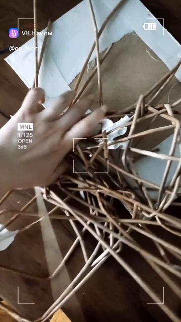 1000103209.mp4
