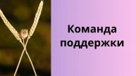 Команда поддержки