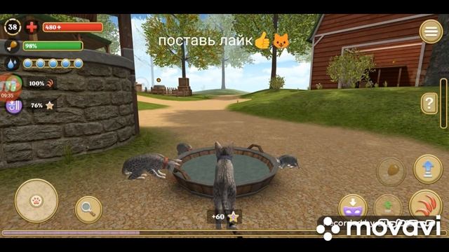 симулятор кота🐱 и кошки🐱 я вырастила котенка🐱 и завела нового котенка🐱 и это мальчик