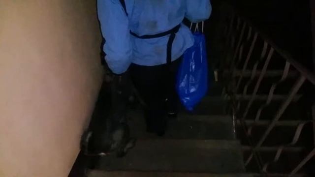 Вывод Эрла на прогулку