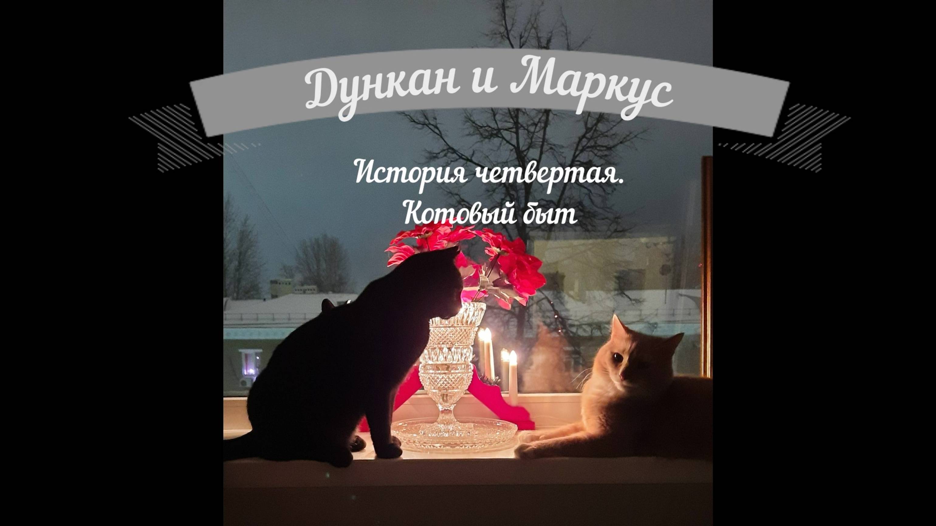 Дуня и Маркус. История четвертая. Котовый быт