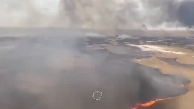 Продолжается тушение камыша у озера Балхаш