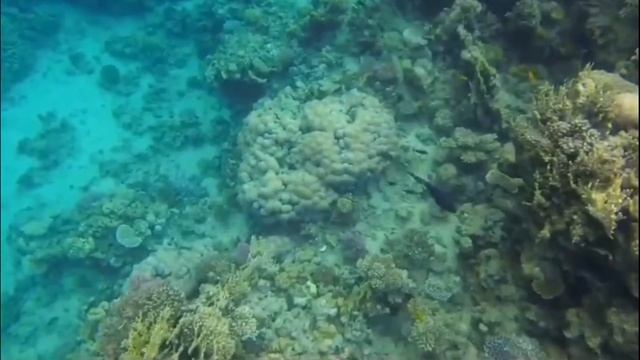 Зарядись энергией и удачей от этого видео
