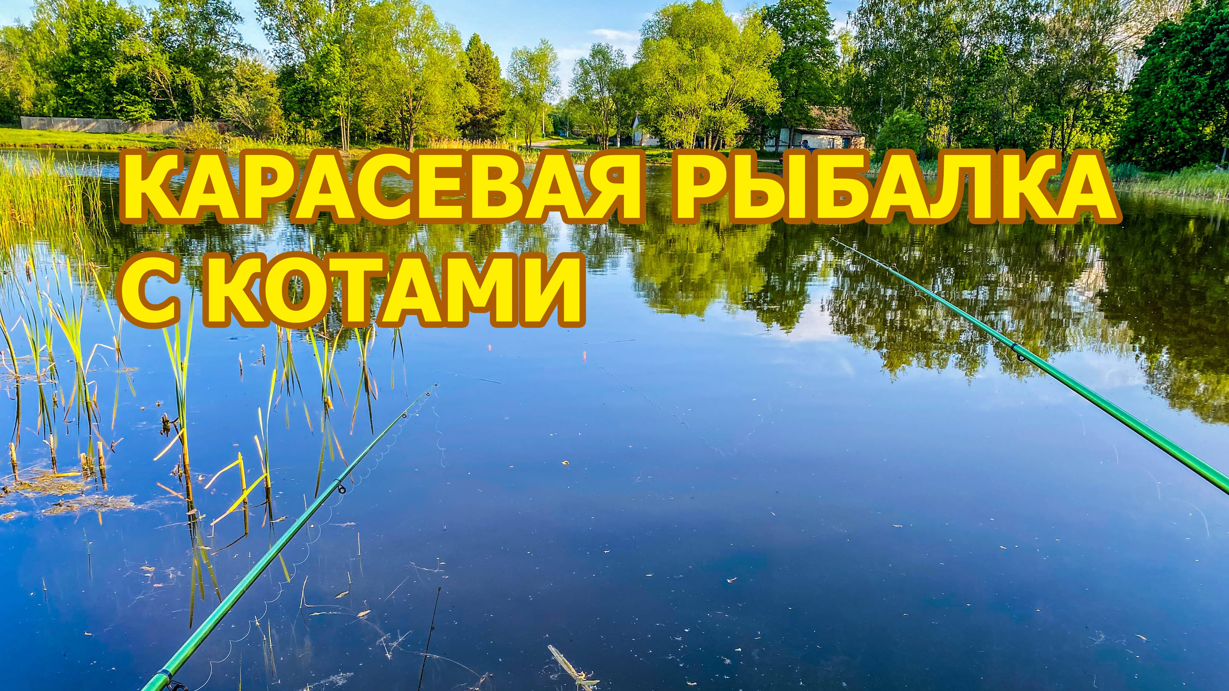 Карасевая рыбалка с котами и злющими комарами