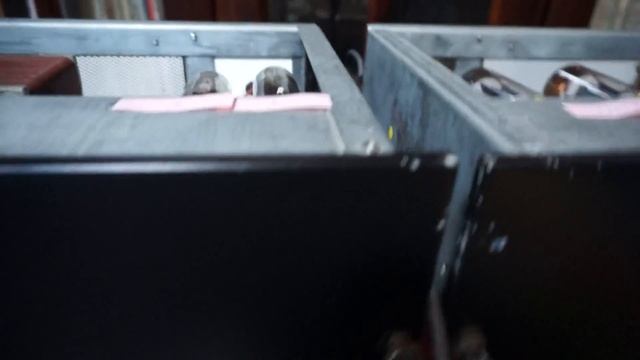 Telefunken V69 amp 2