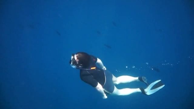 Scuba Diving Gear On Amazon | Expertly Tested Top Picks For 2024 | Ocean Trust 🤿🌊🐠