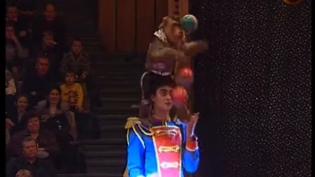 Trained monkey