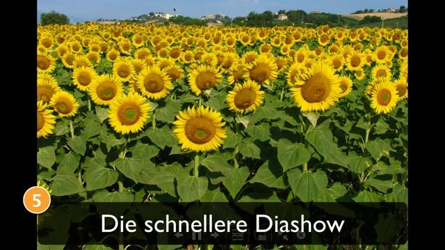 Die Geheimnisse der [alt] Taste