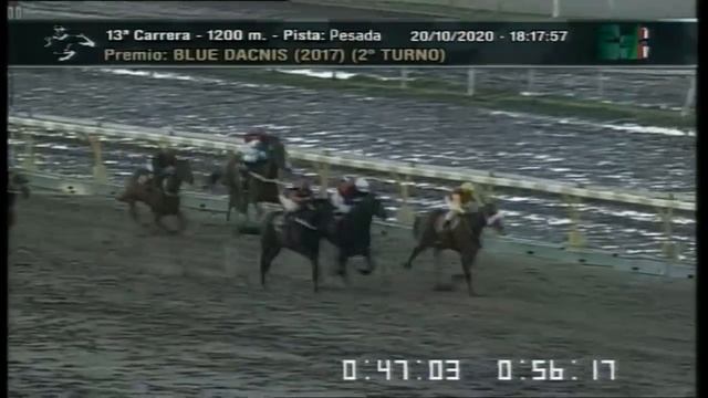 Carr.13 Premio: BLUE DACNIS (2017) (2°TURNO) 20-10-2020