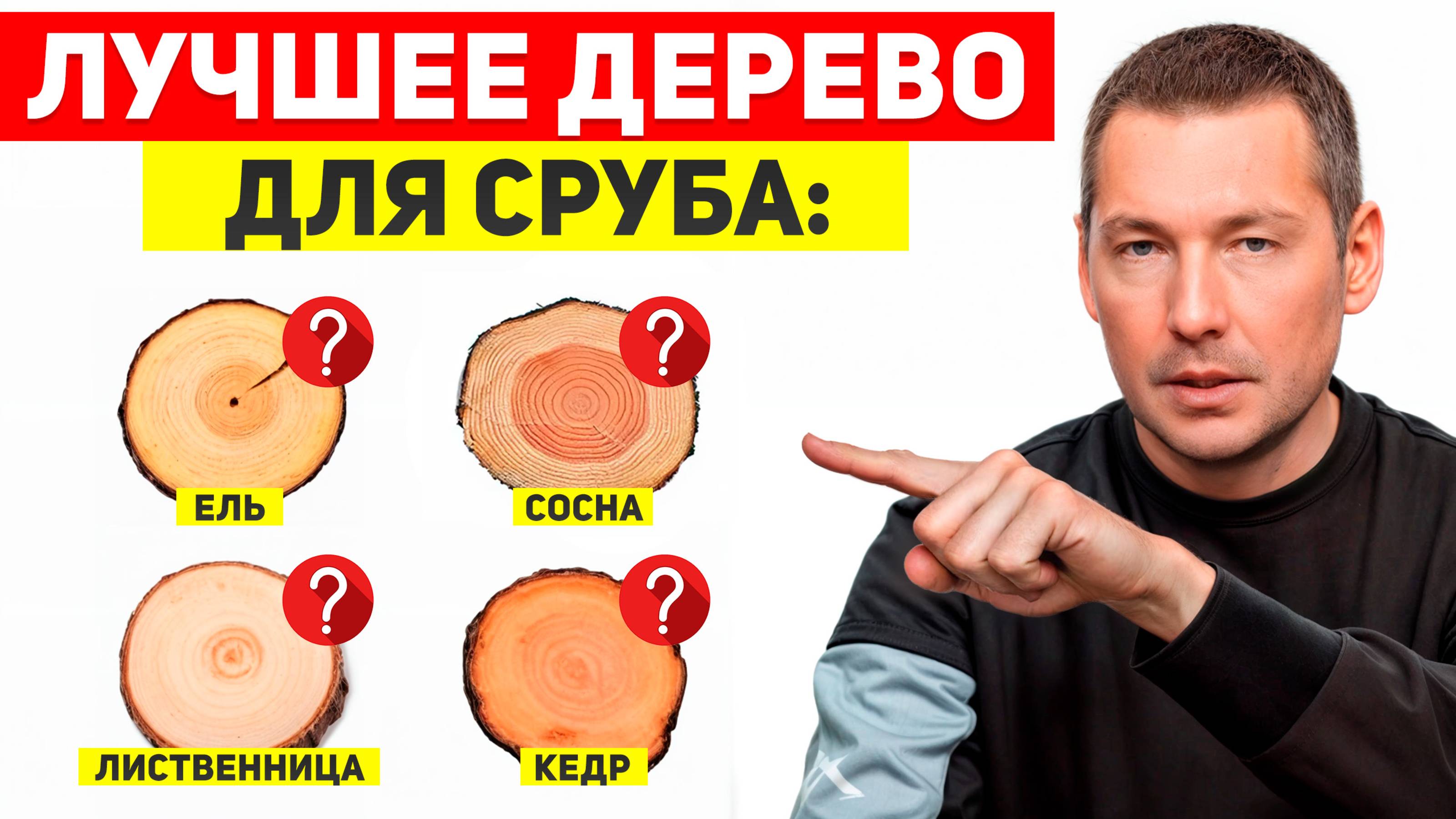 ЛУЧШЕЕ ДЕРЕВО  для СРУБА? Сосна, лиственница, кедр или ель – сравнение для ДОМА и БАНИ