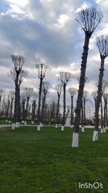 Город Грязи. Стадион Юность.
Алексей 10 лет.
Тренер Зайцев А. П.