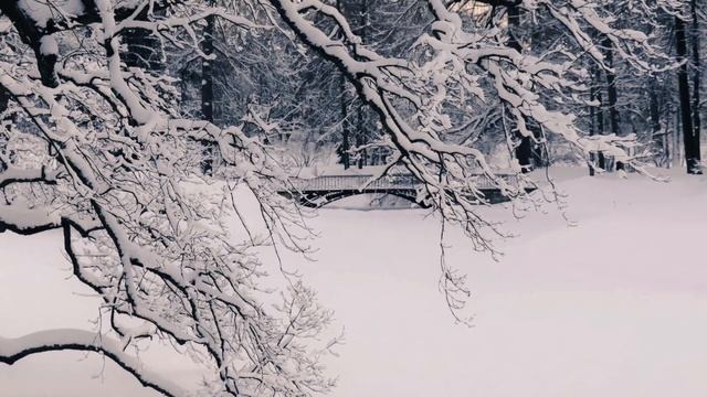 993.🎼. CHEPIKK feat. Холла - «Не люби меня»