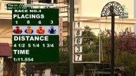 Calcutta Races, Summer Meeting, Seventh Day, Wednesday, 3rd April 2024