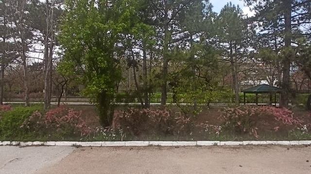 Обсерватор в Евпатории / Вид из окна / Новая реальность / Вечный балийский новый год #обсерватор