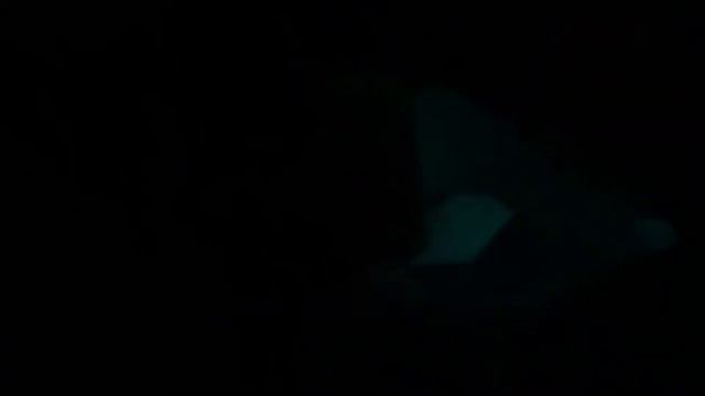 Акулы & ko макси светится в темноте🦈🦈🦈