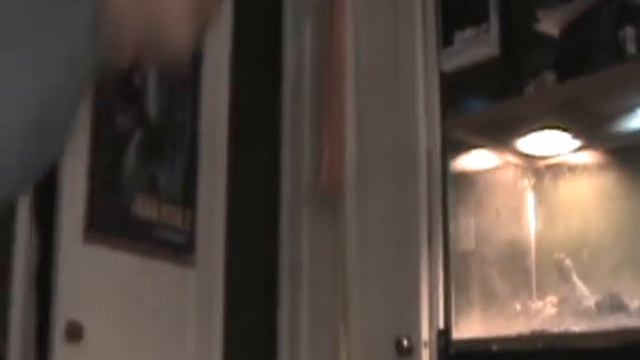 Febreeze Fairy.wmv