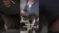 наши повседневные заботы