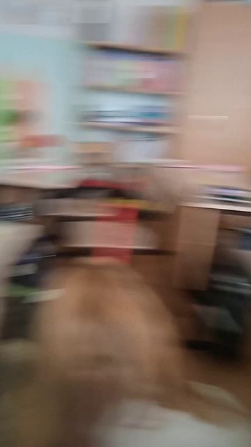 школа